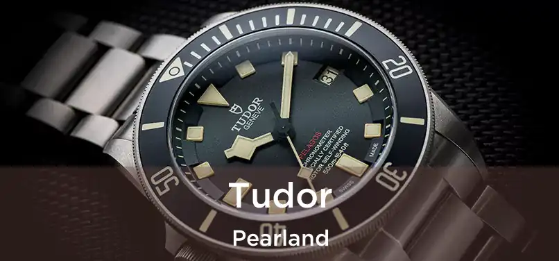 Tudor Pearland